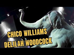 Gli elefanti di Chico Williams - Big Apple Circus (1984)