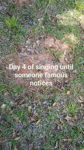 maritime memory from Splatoon suggested by a friendly commenter