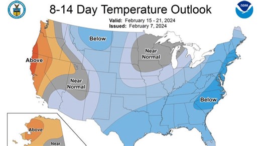 What is 'false spring'? A look at February's weather forecast in Texas