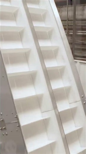 Inclined Conveyor for Bulk Food Products #inclineconveyor #bulkfood #conveyor