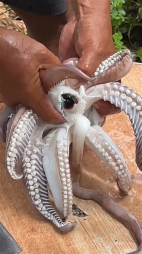 Octo hard to get the teeth! #viral #trendingvideo #sea #rivercrab #seafood #fypシ゚viral