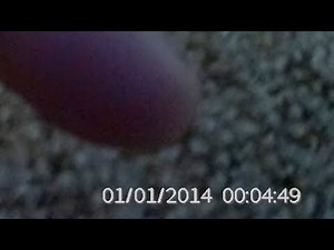 How to Disable Time & Date Stamp on Photos/Videos (Yi 4K+)