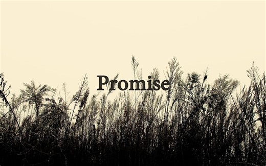 BGM 寂静岭-Promise 纯音乐