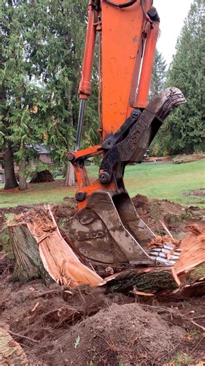 REMOVING LARGE TREE STUMPS WITH EXCAVATOR THE EASY WAY!