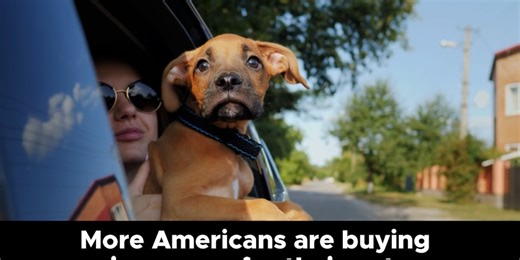 More Americans are buying insurance for their pets, survey finds
