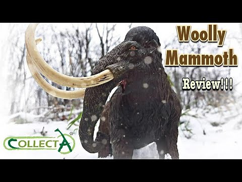Collecta "Deluxe" Woolly Mammoth Review!!!