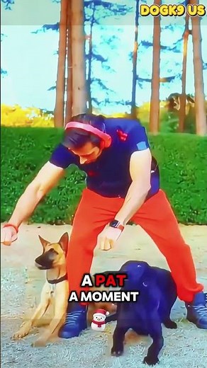 🔥K9 Training Challenge: Malinois Shows His Strength#k9 #dogtraining #malinois #belgianmalinois