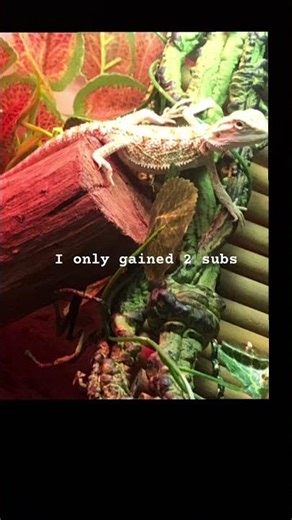 🥺🥺🥺🥺🥺🥺🥺🥺🙏