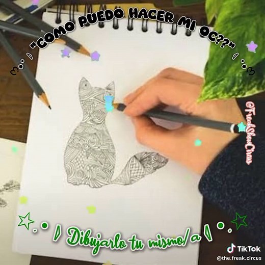 The Freak Circus Team on TikTok