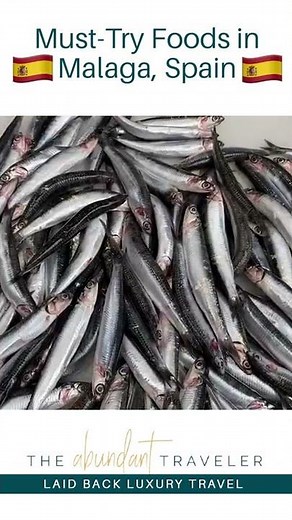 Best Food to Try in Malaga | Malaga Food Guide