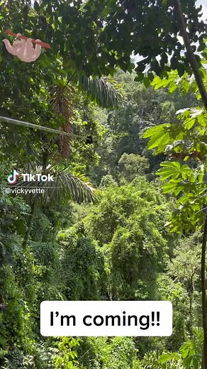 Vicky vette (@vickyvette30)’s videos with original sound - Vicky vette