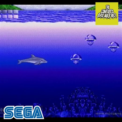 638K views · 11K reactions | Remember these classic Sega games? #fyp #nhl #sega #madden #gamer #ecco #videogames #nhl94 #confusedbreakfast #foryoupage #90skid #confusedbreakfast #throwback | Confused Breakfast | Facebook