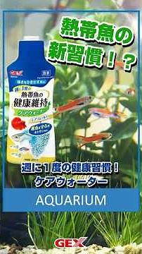 [A New Habit for Tropical Fish?!] Enhance the vitality of your tropical fish with the noteworthy ...