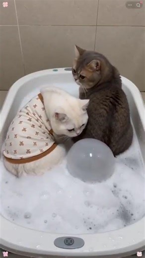 dimarahin sama ayang