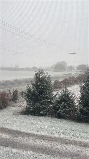 Kimberly Matte on Reels