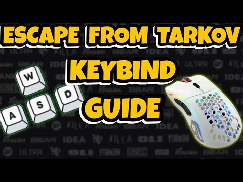 Keybinds For New Players & Tech That Will Give You The UPPER HAND In EVERY Gunfight!