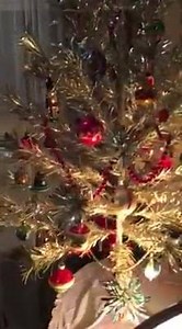 1950s Christmas tree and color wheel all set up 󾌧󾌧󾌧󾌧 | Vintage Things Now