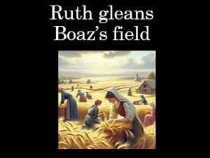 Bible Study Ruth Chapter 2 Explained
