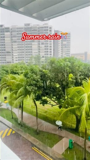 Summer Rain Vibes 🌧️ | Relaxing Rain Moments | Peaceful Nature Shorts
