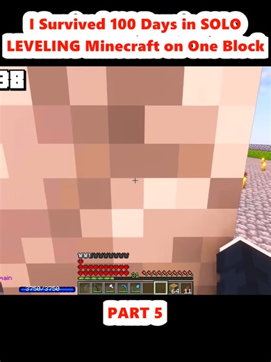 100 Days in Solo Leveling Minecraft Challenge