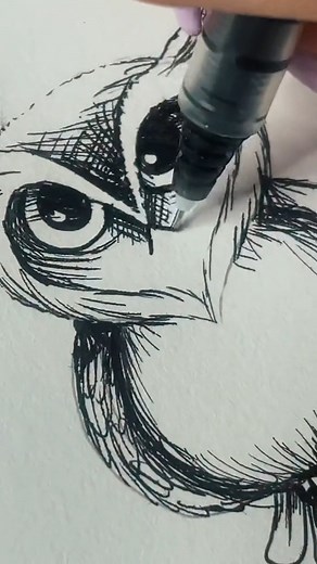 756K views · 16K reactions | How to Draw a Cute Owl #drawing #tutorials #arttutorial #drawingtutorial #arttutorial #owl #owls #howtodraw #learntodraw #reelsfb #foryoupageviralシ゚ | CrescentArts | Facebook