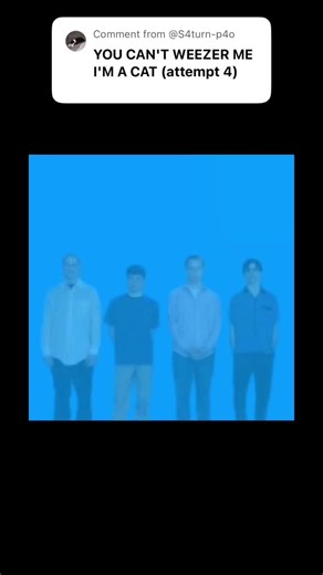 WEEZER IS CAT #weezerblue #getweezered #memes #songlyrics #musichumor #sillycat #yippee #weezer