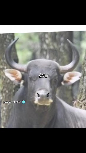 Desain Logo Banteng Nuswantara yang Kreatif