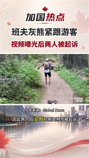 班夫灰熊紧跟游客，视频曝光后两人被起诉#加拿大 #班夫国家公园 #灰熊 #野生动物 #徒步安全 #防熊喷雾 #宠物拴绳 #加拿大生活 #加拿大新闻 #加国热点