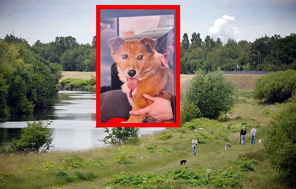 Unterstützt das Tierheim in eurer Stadt