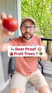 Deer Proof Fruit Trees? #fruitrees #deer #gardening #growyourownfood #orchard