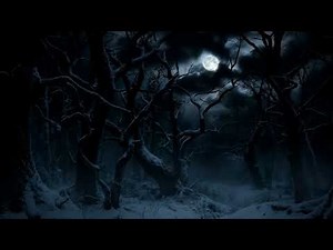 Heavy Ominous Clouds Passing Over the Full Moon | Spooky Winter Dark Forest
