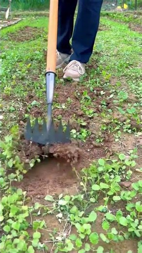 This Weed Tool is Weirdly Satisfying! 🤯🌱 #shorts