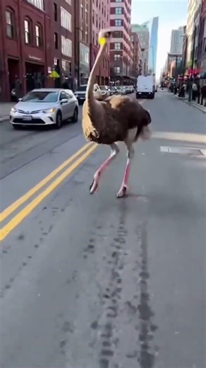 What seemed like a minor misunderstanding blossoms into a charming exchange