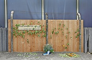 Buch zu WMF-Zwangsarbeiterinnen in Geislingen: Über brutale SS-Aufseherinnen