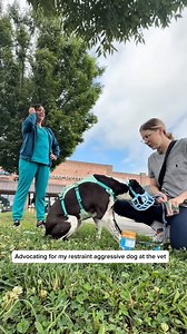 166K views · 6.5K reactions | *Advocating at the vet* This was our...