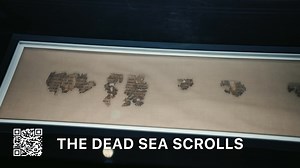 90K views · 227 reactions | ️CLOSING SEPTEMBER 2ND THE REAGAN...