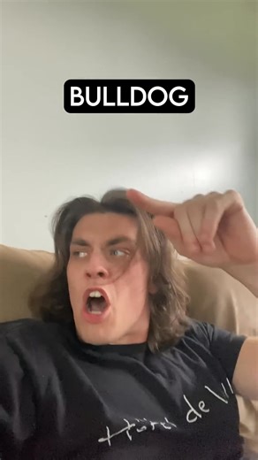 How Dog Breeds React To Robbers PT 4 | Phalla Ath