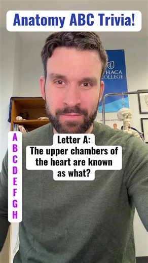 Fun Anatomy Trivia Challenge
