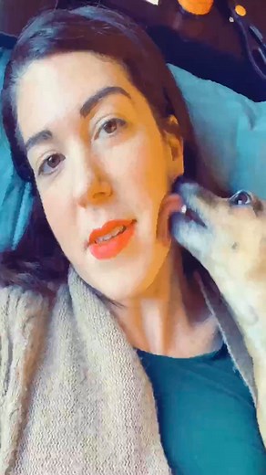 More enchanted howdoessheknow disney singingdog dogtrick dog... | Mss Pam