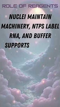 GRO seq Global Run On Sequencing