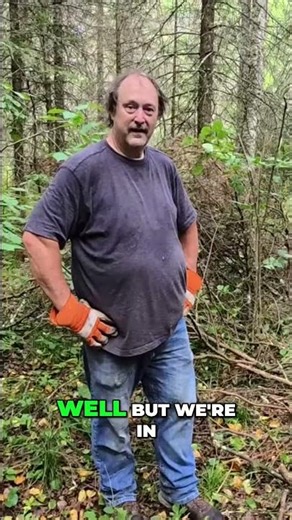 Building a Road Forest Prep for Quick Transport #logging #forest #woods #homestead #logs