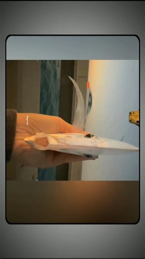 Animals From Weird Angles🤯#trending #shorts #fascinatinginformation #facts #amazingfacts