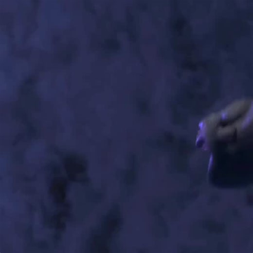 I A V E N ⚔️ | Hiccup Caught A🐉🐉🐉🔥🔥...... How to Train Your Dragon (2025) - a boy, a dragon, and a bond that changed everything In a world where dragons... | Instagram