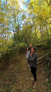 Short version of “Fat Cat”, a 25lb hunk of a #kitty had been stranded in this woods butternut #tree wrapped in vines for 4 nights. Fat Cat’s family had tried everything -40’ ladder, even extension pole with a net (clever) to get him down before they found my number. Full length video here https://fb.watch/jjnSDfOwN1/?mibextid=ykz3hl #catinatreerescue #treetopcatrescue #getmeowtahere #thecatsinthebag #animalrescue #catrescue #canopycatrescue #treecatrescue | Duane Hook