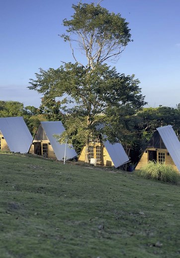 My First Camping Experience at Fern Gully