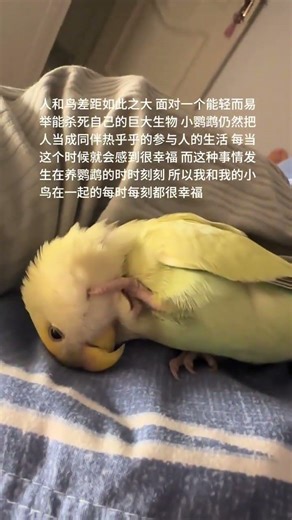 The Alarming Gap: Man vs. Bird: A Survival Showdown