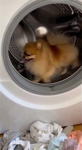 The Ultimate Spin Cycle