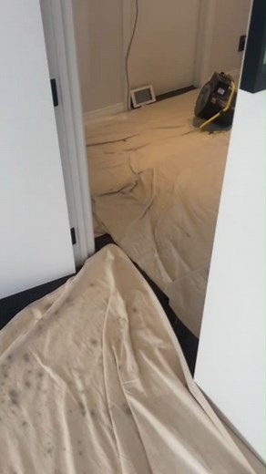 We take care of your home as if it was ours. | Profile Property Services