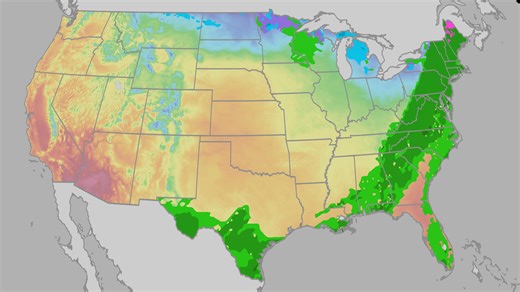 Easter Sunday forecast: Rainy East, warm West