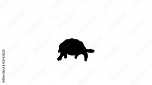 Walking turtle, animation on the white background (seamless loop)